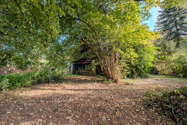 Medium property photo - Zuiderdiep 481, 9521 AN Nieuw-Buinen
